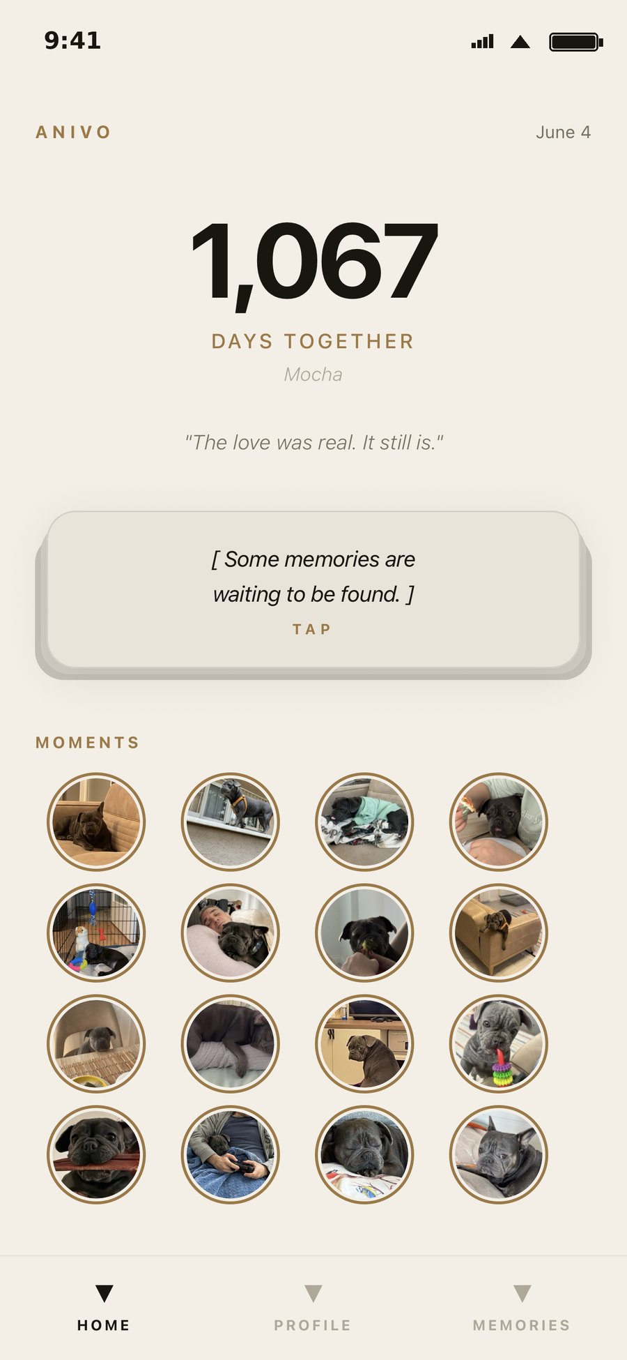 Anivo home screen — days together counter and moments grid