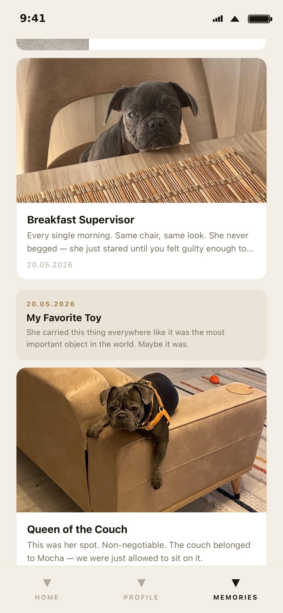 Anivo memory cards — Breakfast Supervisor, My Favorite Toy, Queen of the Couch