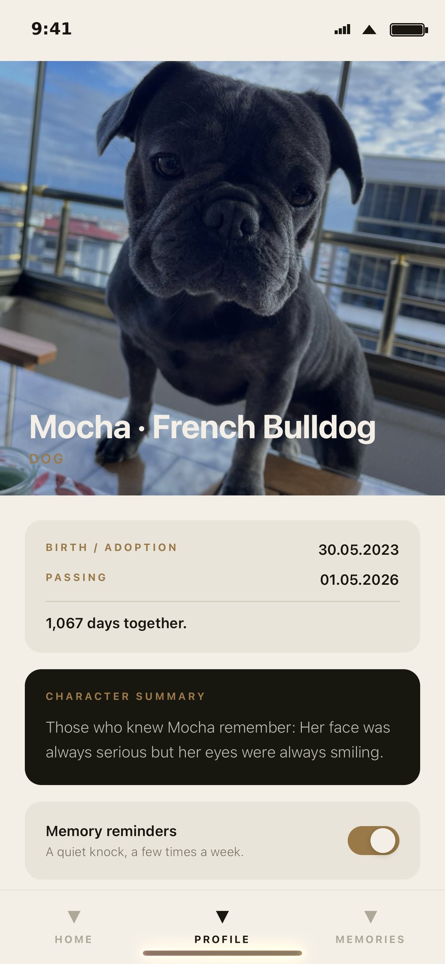 Anivo pet profile screen with character summary and memory reminders