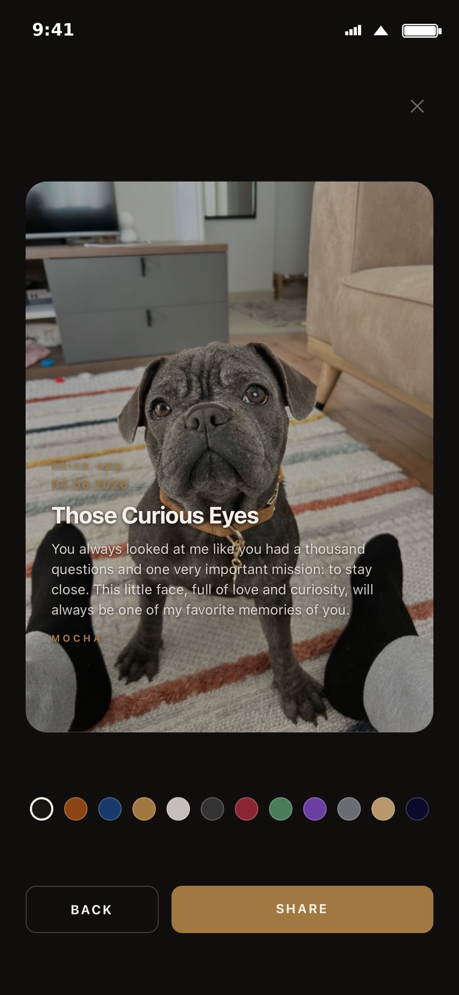 Anivo memory card editor — Those Curious Eyes, with theme colours and share options