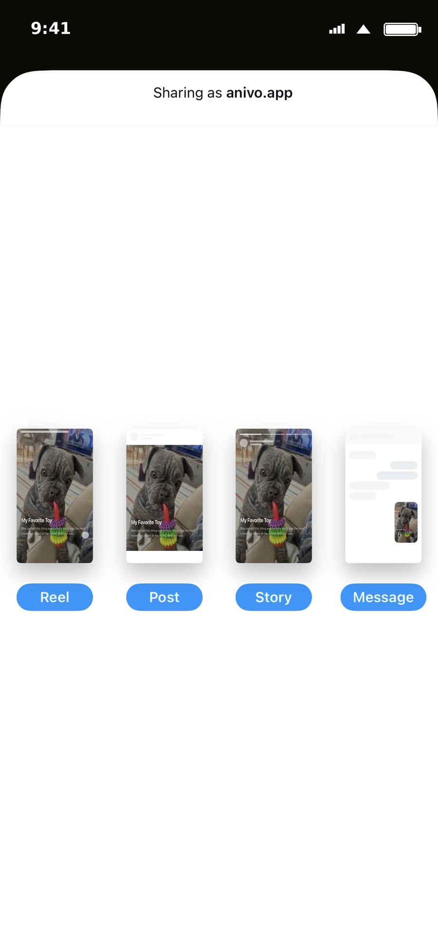 Anivo memory shared as Instagram Reel, Post, Story, or Message